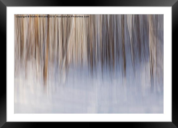 Winter Wood Framed Mounted Print by Martin Williams