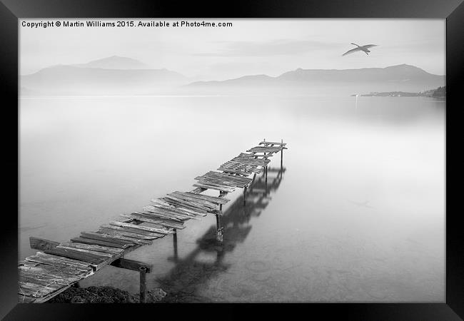 To be Free as a Bird Framed Print by Martin Williams