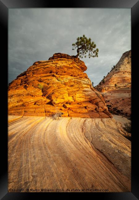 Zion National Park Framed Print by Martin Williams