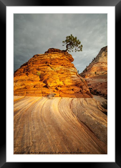 Zion National Park Framed Mounted Print by Martin Williams