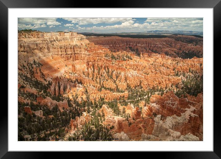 Bryce Canyon National Park, Utah, USA Framed Mounted Print by Martin Williams