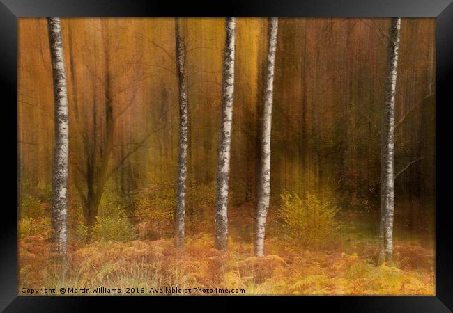 Impressions and Blurred Lines Framed Print by Martin Williams