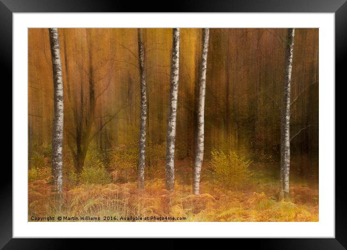 Impressions and Blurred Lines Framed Mounted Print by Martin Williams