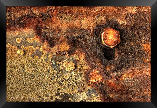 Rust Framed Print by Martin Williams