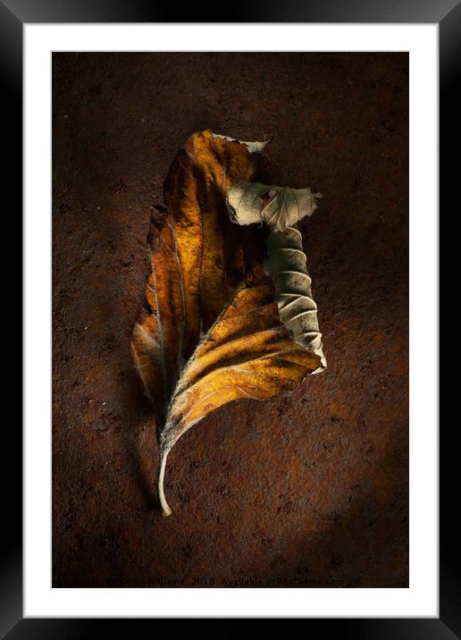 Old Leaf on rusty metal Framed Mounted Print by Martin Williams