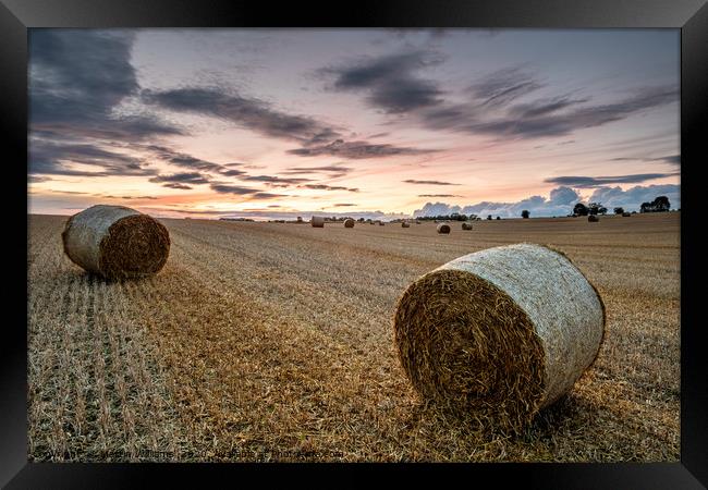 Summer Bales Framed Print by Martin Williams