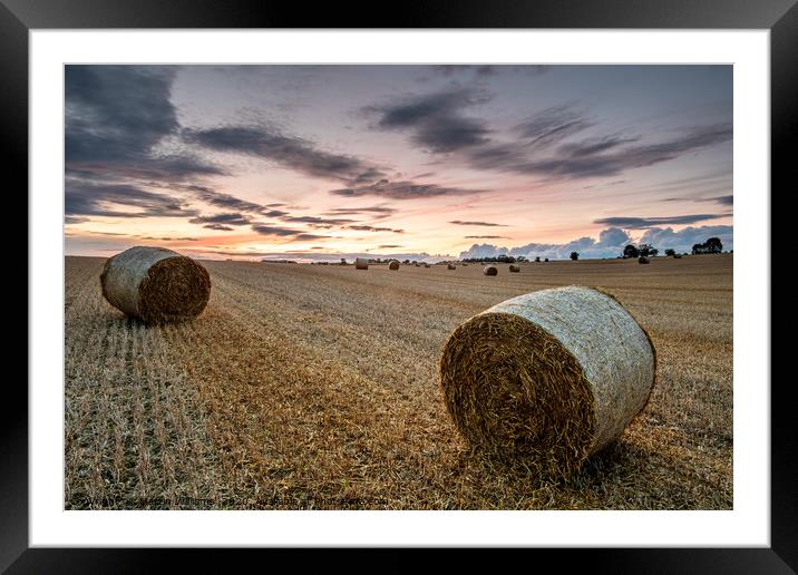 Summer Bales Framed Mounted Print by Martin Williams