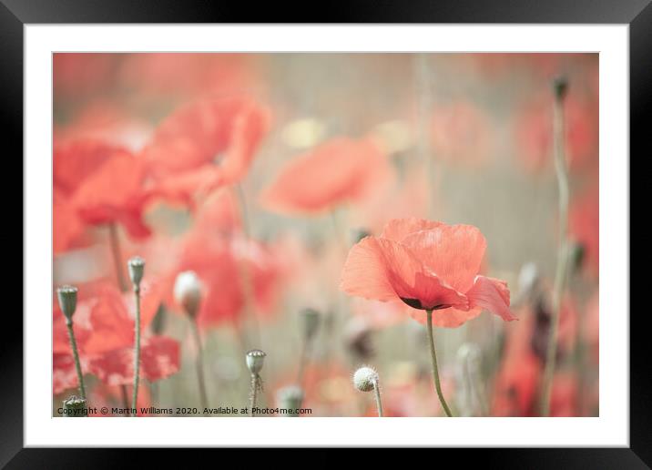 Poppies in a field Framed Mounted Print by Martin Williams