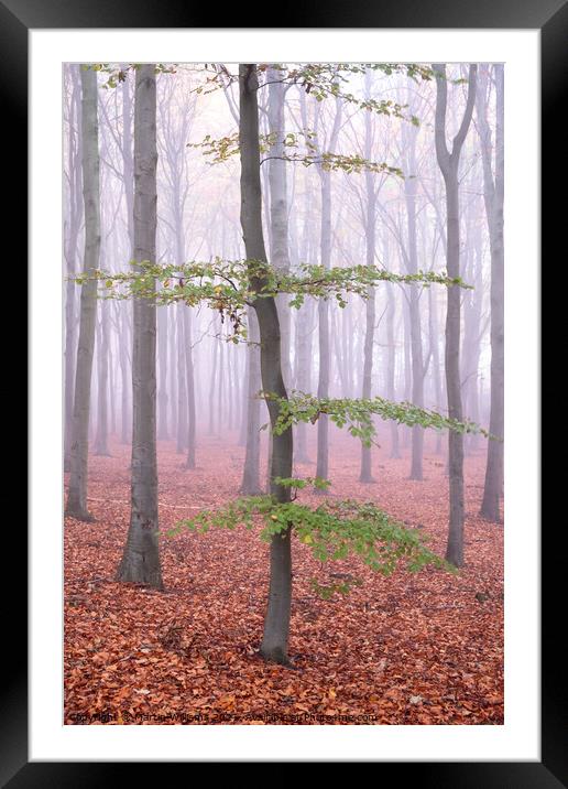 Misty wood tree Framed Mounted Print by Martin Williams