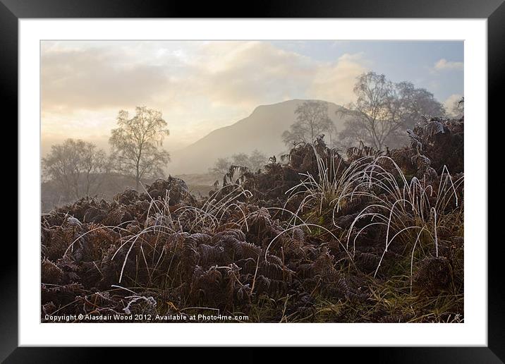 Cold & Crispy Framed Mounted Print by Al Wood