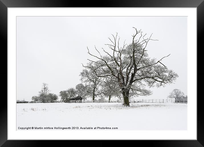Branching Out Framed Mounted Print by mhfore Photography