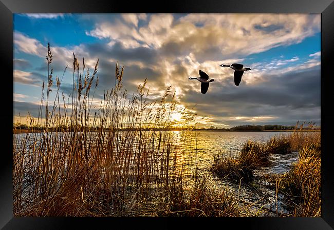 Incoming Framed Print by mhfore Photography