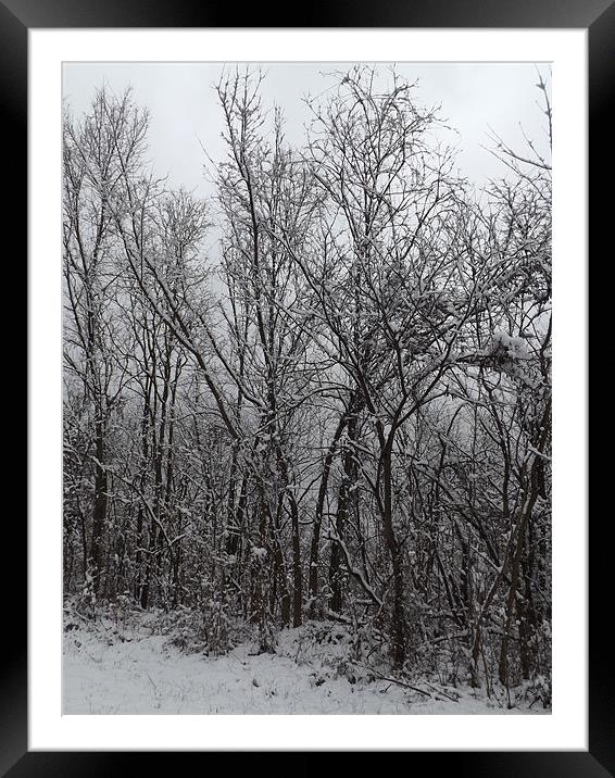 Winter Wonder Framed Mounted Print by Morgan Ramey