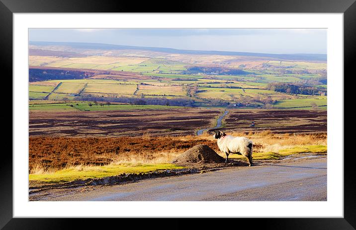 On the Moors Framed Mounted Print by Jonathan Parkes