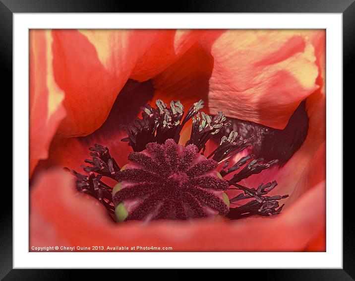 Ruby Red Framed Mounted Print by Cheryl Quine