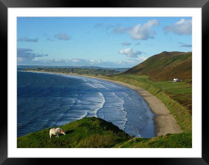 Rhossili Bay: Best Beach in UK Framed Mounted Print by Mark Campion