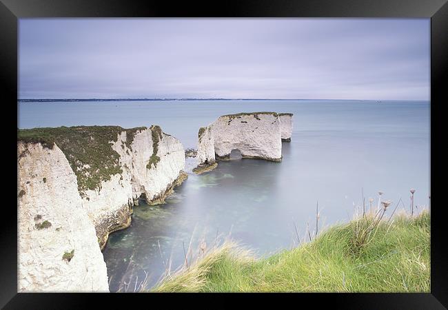 Old Harry Framed Print by Andrew Bannister