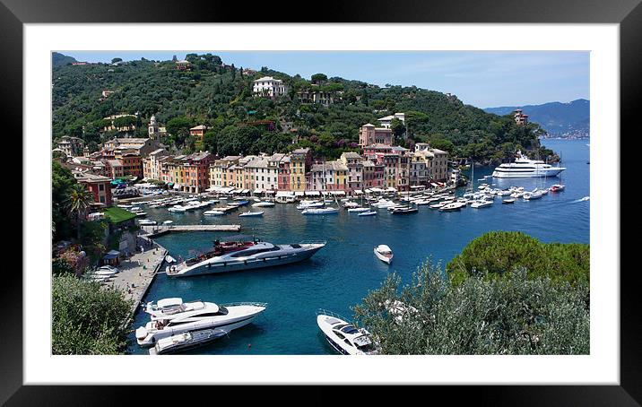 Italy_Portofino Framed Mounted Print by Donatella Piccone