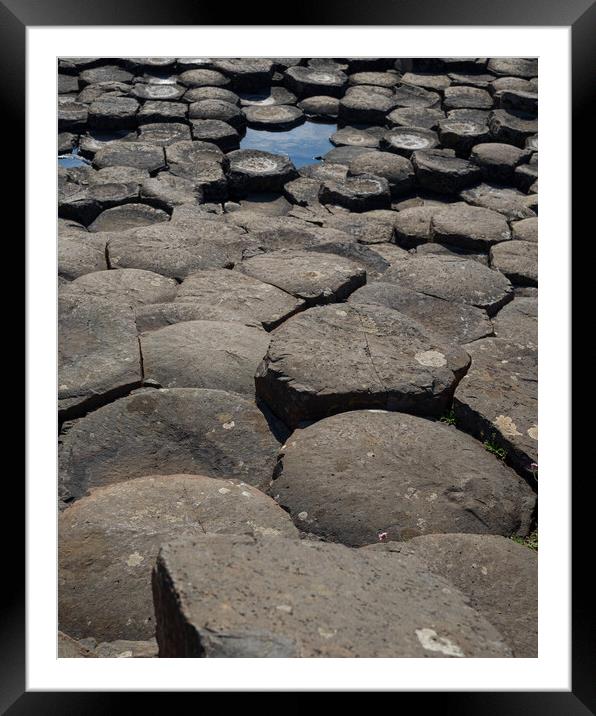 The Giants Causeway Framed Mounted Print by Mark Llewellyn