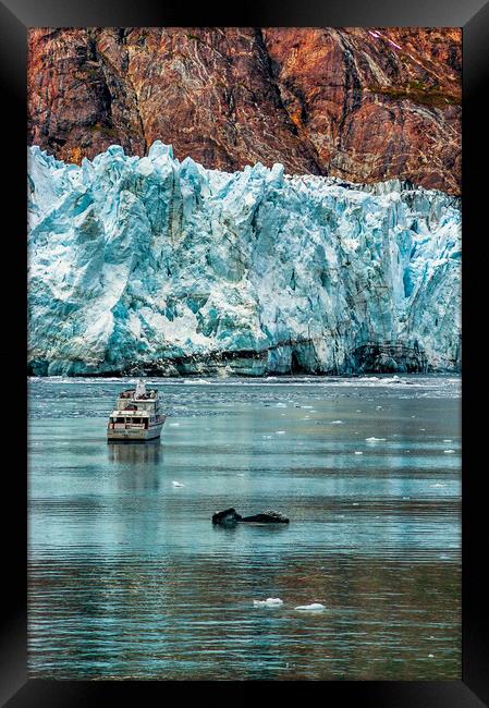 Margerie Glacier, Alaska, USA Framed Print by Mark Llewellyn