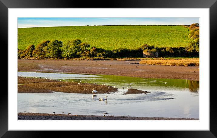 Newport Marshes Framed Mounted Print by Mark Llewellyn