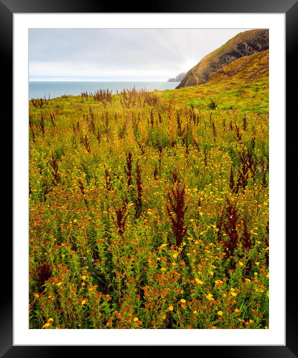 Ceibwr Coast Framed Mounted Print by Mark Llewellyn