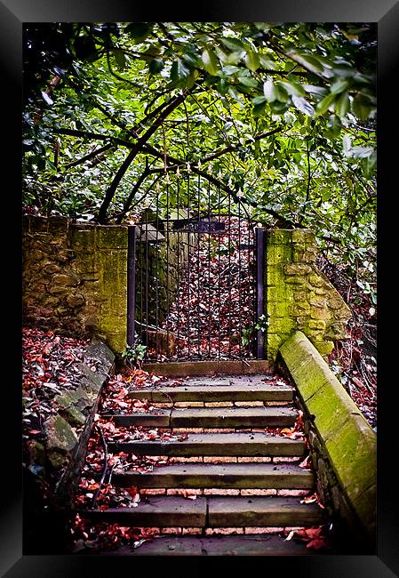 Llandaff Cathedral Steps, Cardiff, Wales, UK Framed Print by Mark Llewellyn