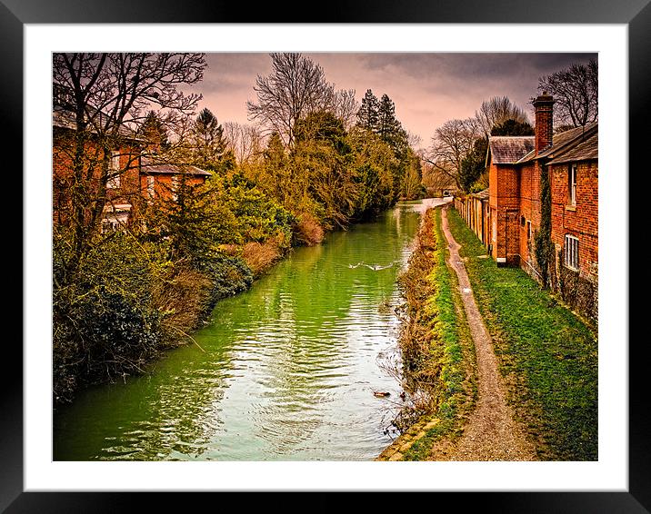 Canal at Hungerford Framed Mounted Print by Mark Llewellyn