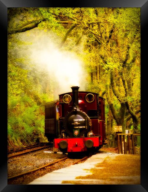 Talyllyn Railway Dolgoch, Wales, UK Framed Print by Mark Llewellyn
