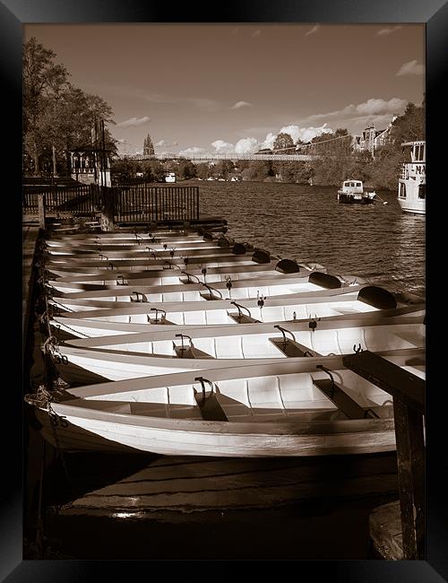 Rowing Boats, River Dee, Chester, England, UK Framed Print by Mark Llewellyn