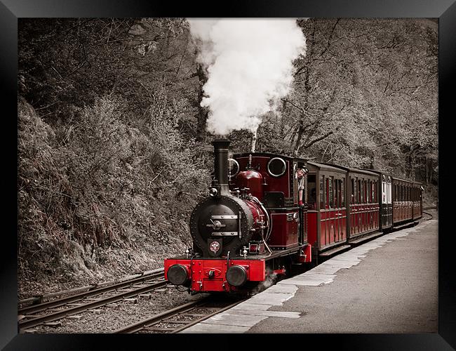 Talyllyn Railway, Wales, UK Framed Print by Mark Llewellyn