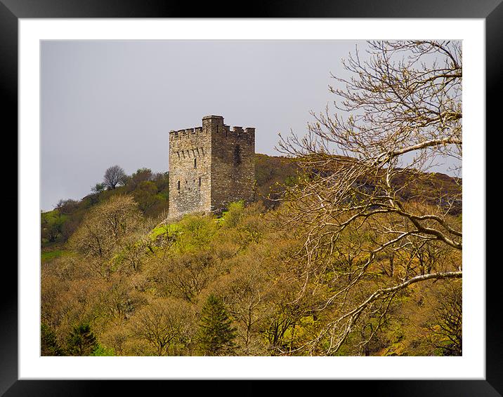 Dolwyddelan Castle, Conwy, Wales, UK Framed Mounted Print by Mark Llewellyn