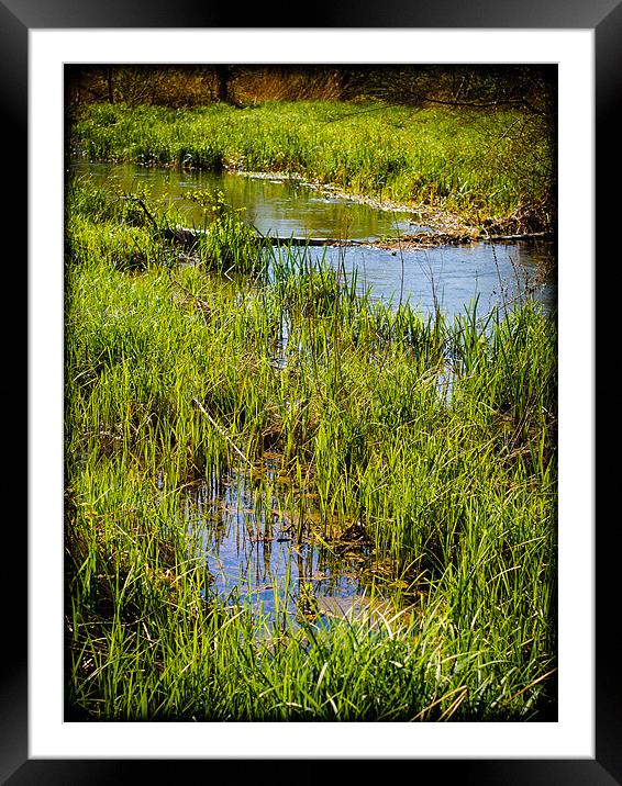 River Kennet Marshes, Kintbury, Berkshire, England Framed Mounted Print by Mark Llewellyn