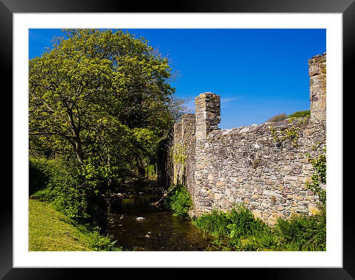 Abbey Walls, St Davids, Pembrokeshire, Wales, UK Framed Mounted Print by Mark Llewellyn