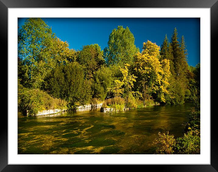 Sparkling Water, Hampshire, England, UK Framed Mounted Print by Mark Llewellyn