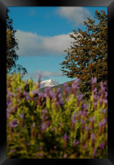 Mount Cook, New Zealand Framed Print by Mark Llewellyn