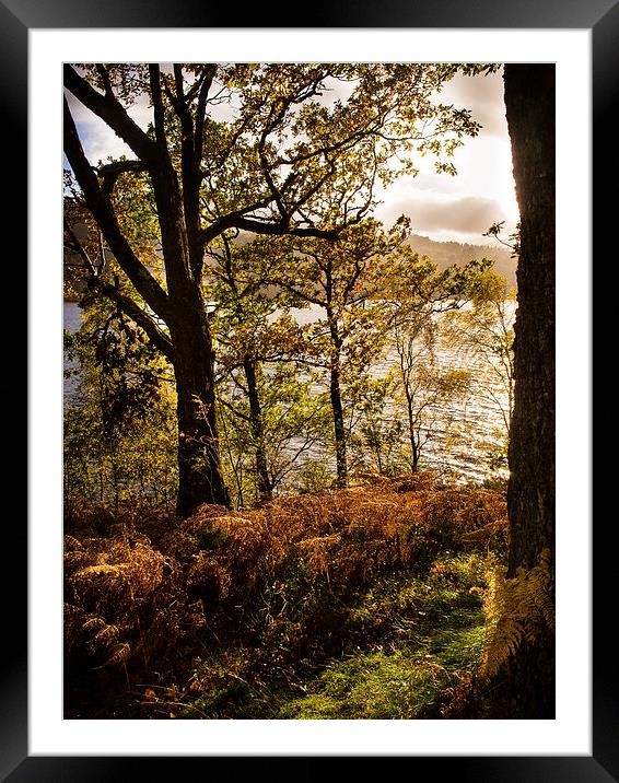 Loch Garry, Scotland, UK Framed Mounted Print by Mark Llewellyn