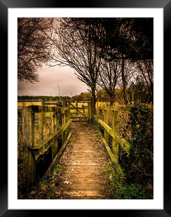 Wooden Footbridge Framed Mounted Print by Mark Llewellyn