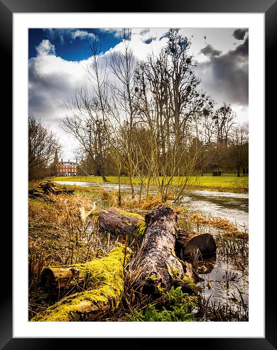 Snowdrop Woods, Welford, Berkshire, England, UK Framed Mounted Print by Mark Llewellyn