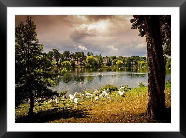 Roath Park Lake, Cardiff, Wales, UK Framed Mounted Print by Mark Llewellyn