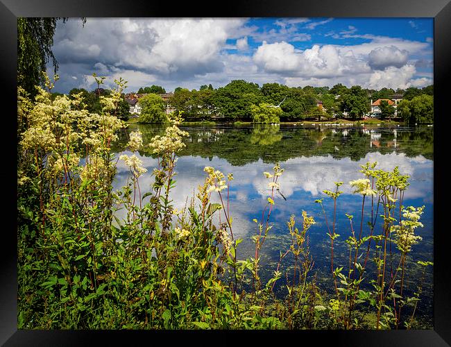Reflections of Roath Park, Cardiff, Wales, UK Framed Print by Mark Llewellyn