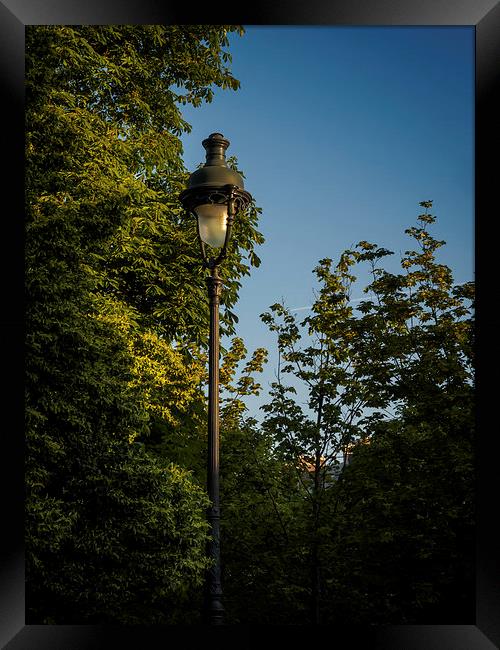 Paris Streetlight Framed Print by Mark Llewellyn