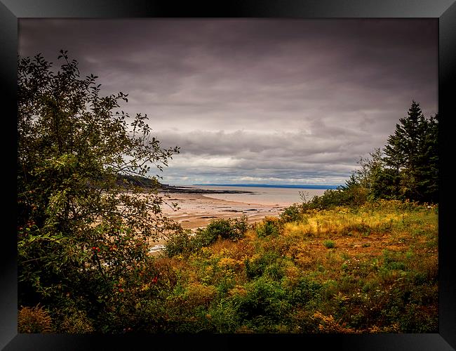 Joggins Beach, Nova Scotia, Canada Framed Print by Mark Llewellyn