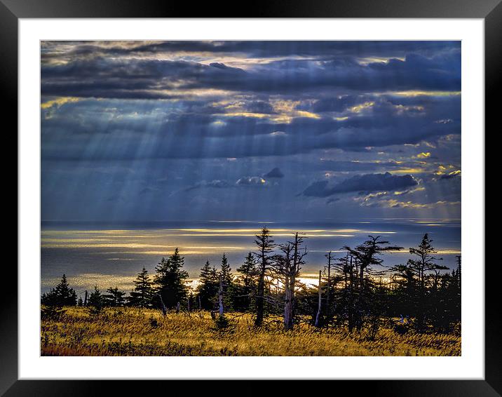 Skyline Trail Evening, Cape Breton, Canada Framed Mounted Print by Mark Llewellyn