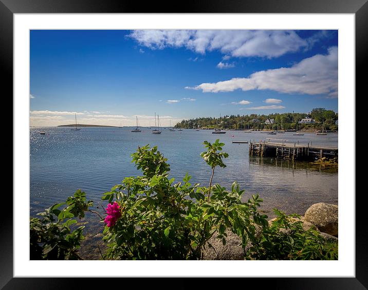 Chester Harbour Yacht Club, Nova Scotia, Canada Framed Mounted Print by Mark Llewellyn
