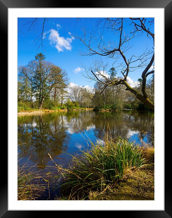 Lake Reflections, Wales, UK Framed Mounted Print by Mark Llewellyn