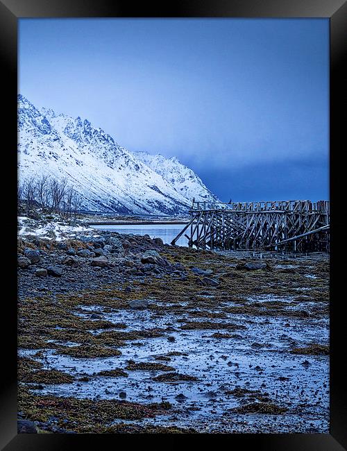 Arctic Jetty, Lofoten, Norway Framed Print by Mark Llewellyn
