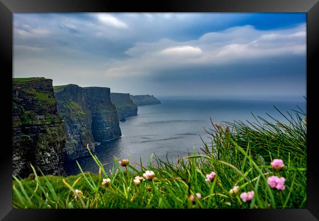 Cliffs of Moher, Ireland Framed Print by Mark Llewellyn