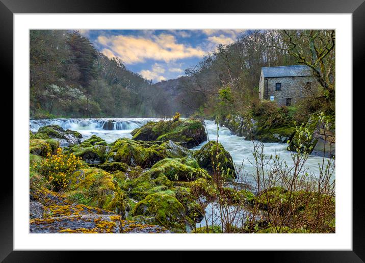 Cenarth Mill and Falls, Ceredigion, Wales, UK Framed Mounted Print by Mark Llewellyn