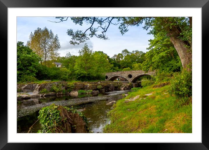 Cenarth Bridge, Carmarthenshire, Wales, UK Framed Mounted Print by Mark Llewellyn